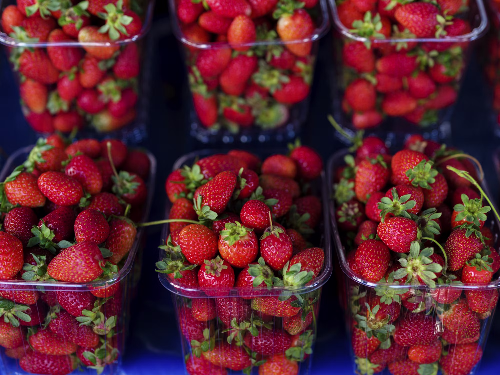 Global Flavors: A Culinary Tour Through Iconic Dishes